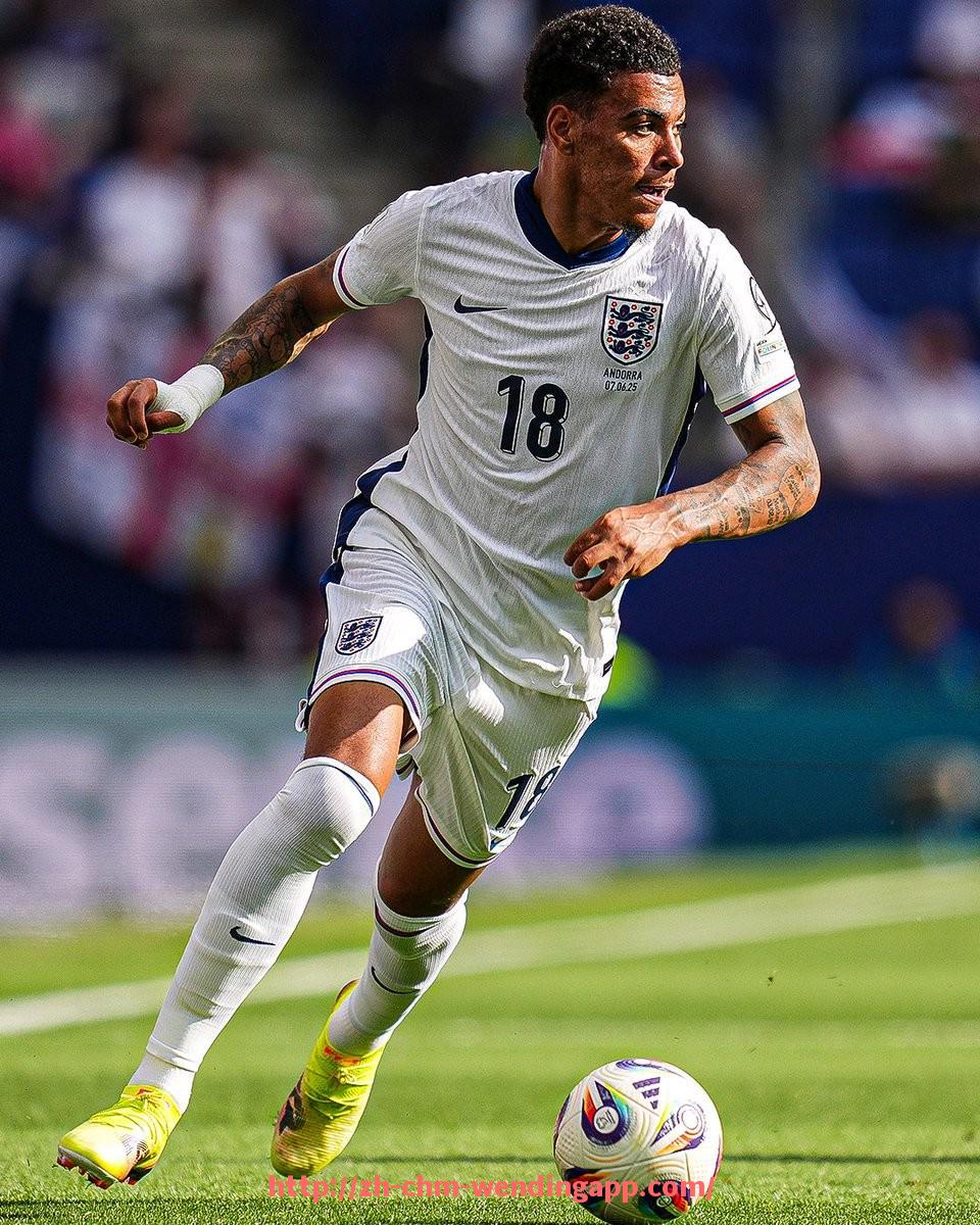 问鼎娱乐官网-西甲联赛直播在线平台推荐及观赛体验