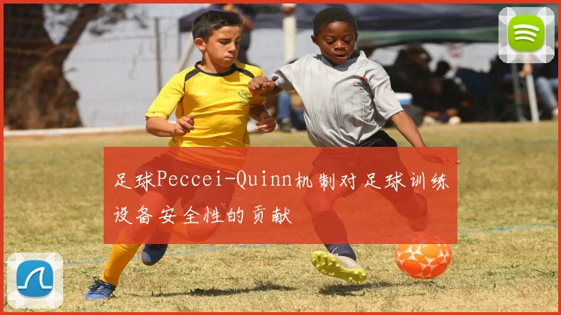 足球Peccei-Quinn机制对足球训练设备安全性的贡献