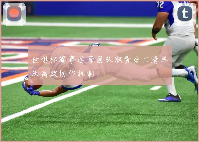 世俱杯赛事运营团队职责分工清单及高效协作机制