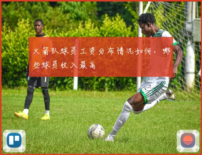 火箭队球员工资分布情况如何，哪些球员收入最高